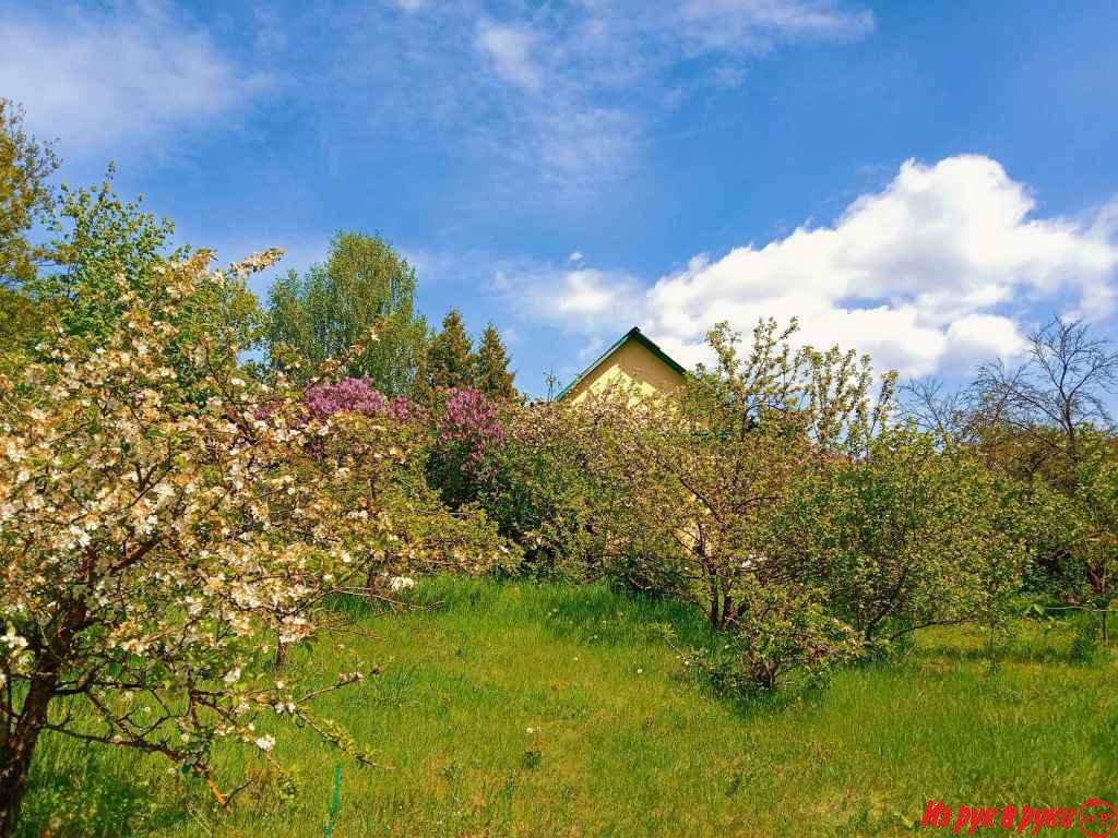 Дом в историческом центре, город Заславль.
Дом крепкий бревенчатый, од