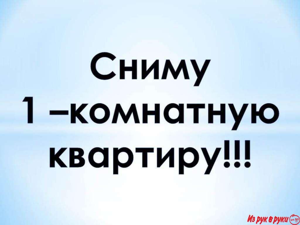 Снимем однокомнатную квартиру. Рассмотрим варианты с мебелью и без нее