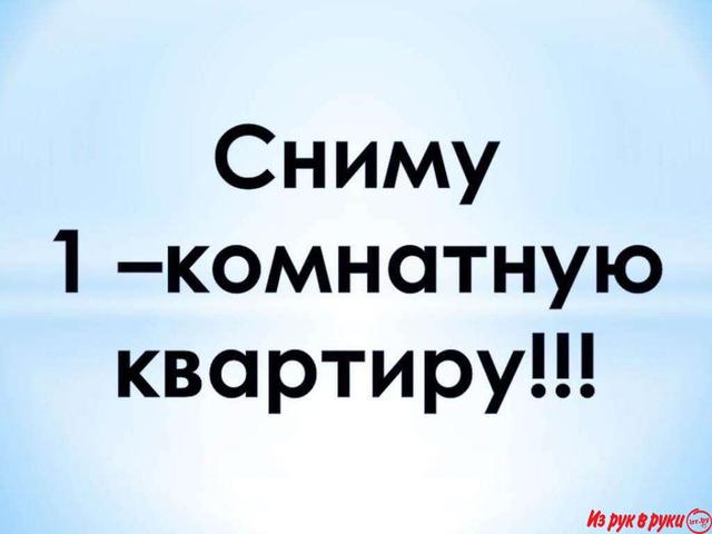 Снимем однокомнатную квартиру. Рассмотрим варианты с мебелью и без нее