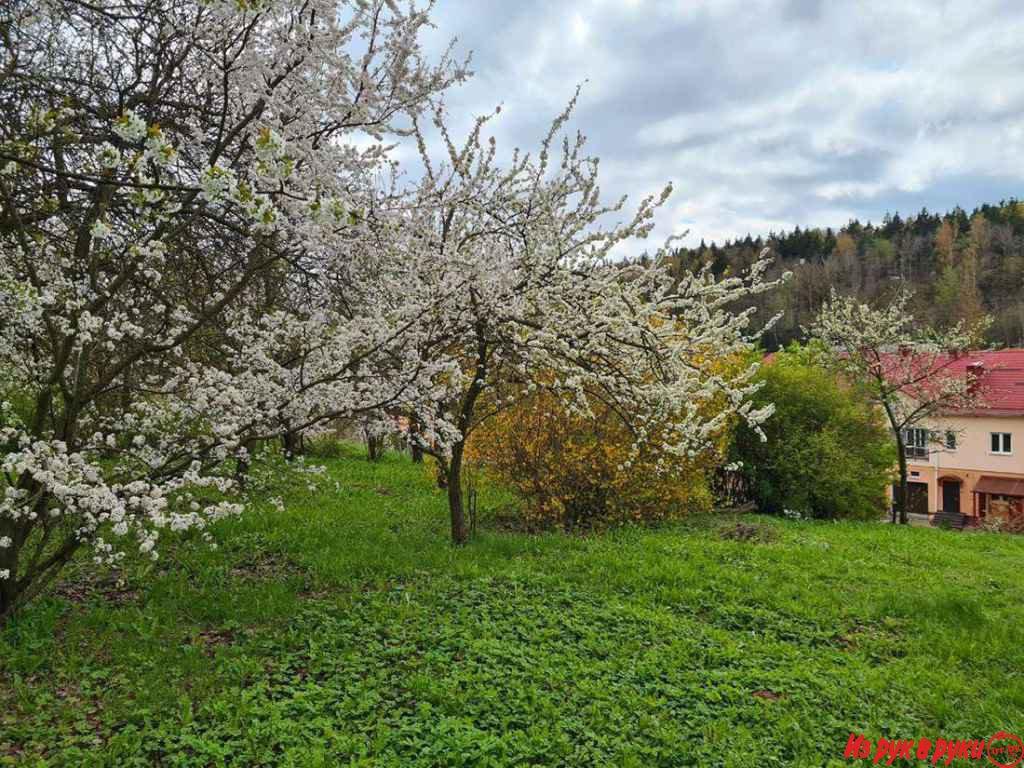 Продажа участка в д. Тарасово