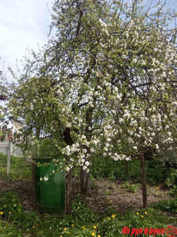 В центре города Жодино, рядом с железнодорожным вокзалом, продается по