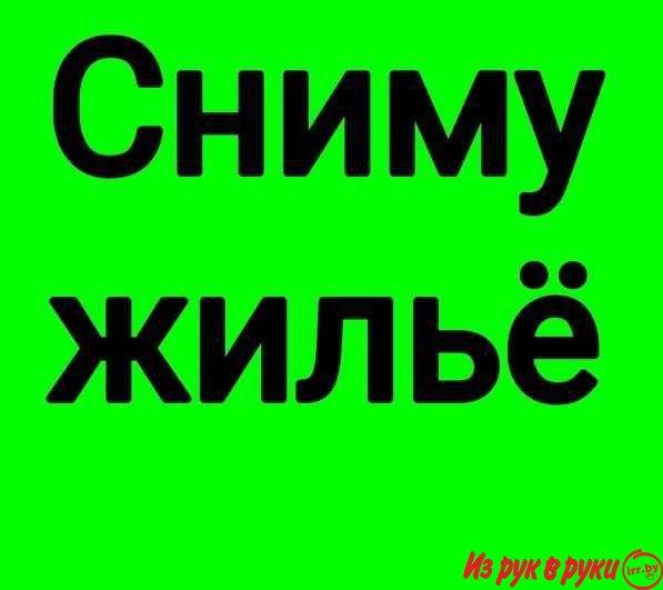 Аккуратная семейная пара 30 лет, из двух человек. Нам необходима одна-