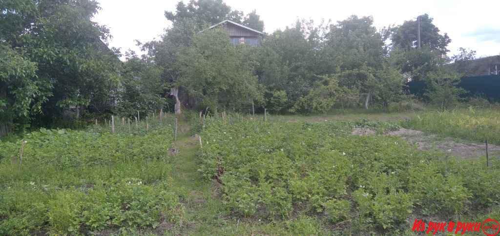 Дом в деревне Скиток. Рядом река (200-300м), лес. Курортная, чистая зо