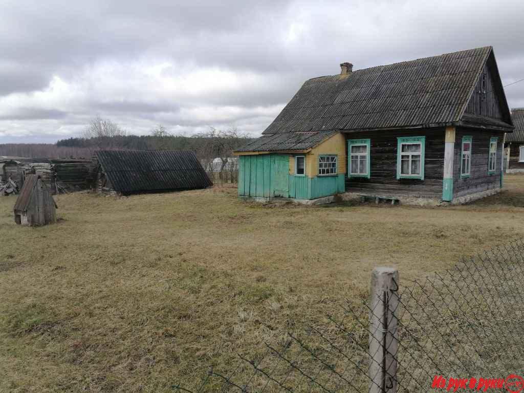 Дом в начале Налибокской пущи - д.Янковичи Деревнянского с/с Столбцовс