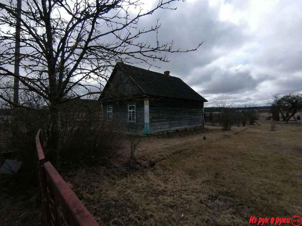 Дом в начале Налибокской пущи - д.Янковичи Деревнянского с/с Столбцовс