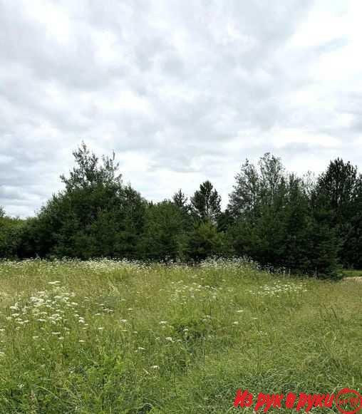 Продается участок с домом в д. Сосновцы, Воложинского района.
Местора