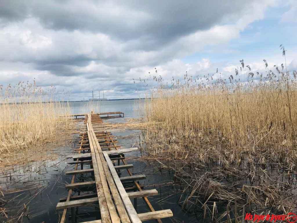 В заповедных лесах Витебщины, на берегу Лукомльского озера продается у