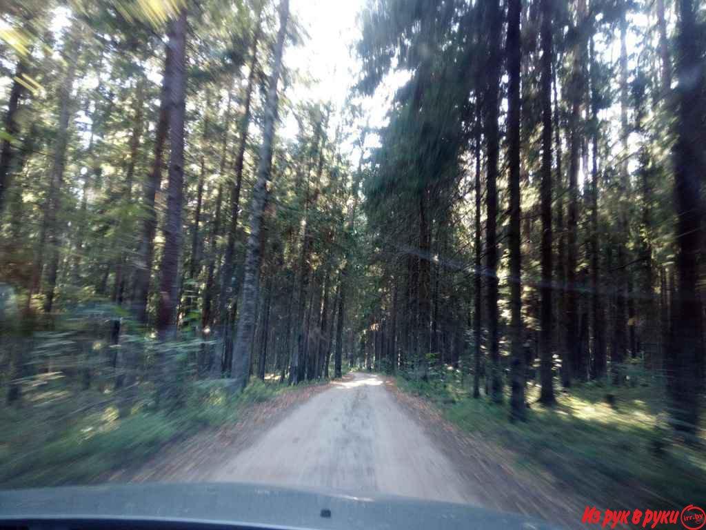 Дача в живописном месте, окружённая лесом и рекой