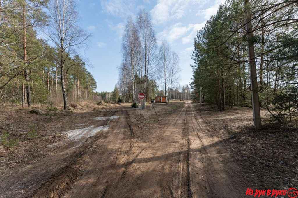 СТ `Олешники`Логойского района Минской области. Участок расположен в к