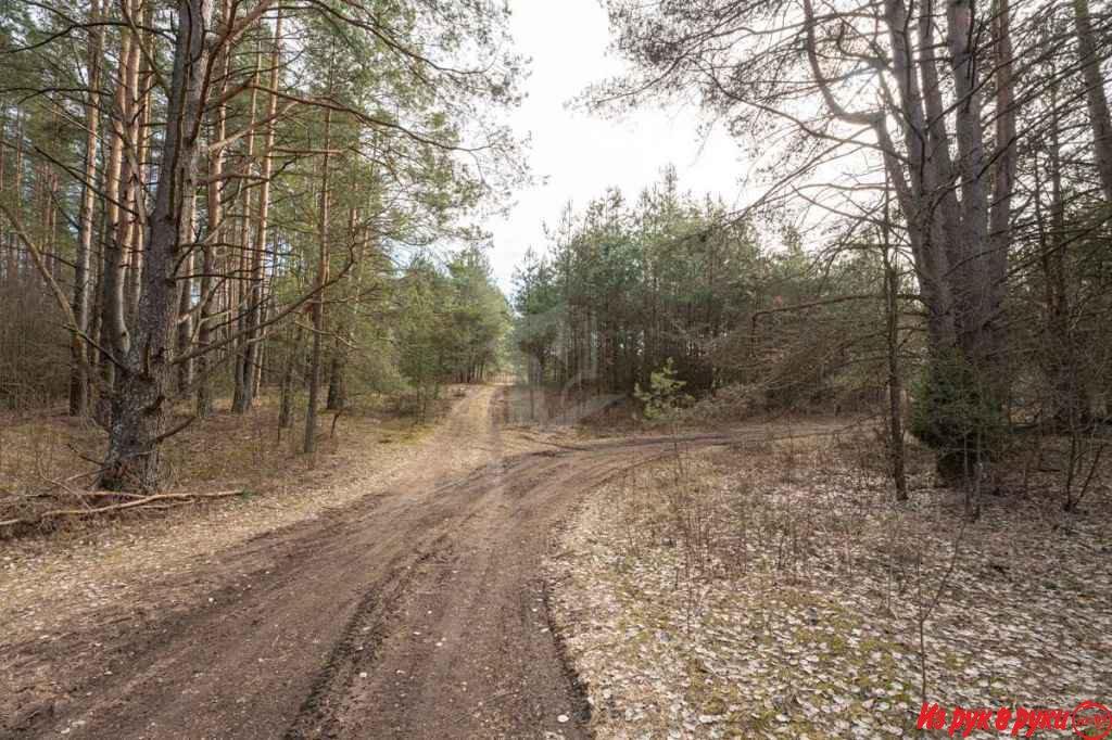 СТ `Олешники`Логойского района Минской области. Участок расположен в к