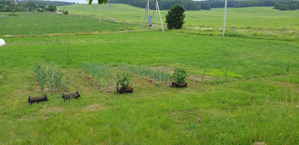 Участок с шикарным видом в районе Кургана Славы (Смолевичский район)