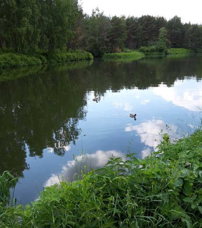 Продажа Здания, д. Удранка