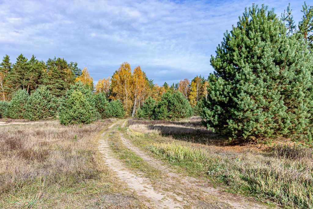 Участок в красивом месте!