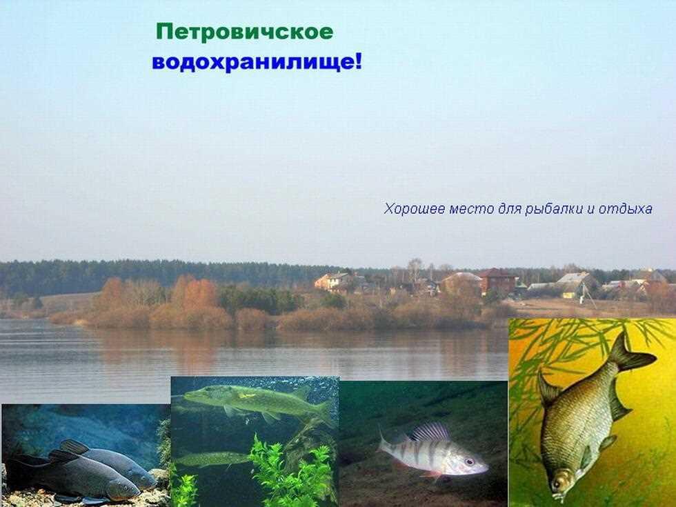 Отличное место для жизни и инвестиций