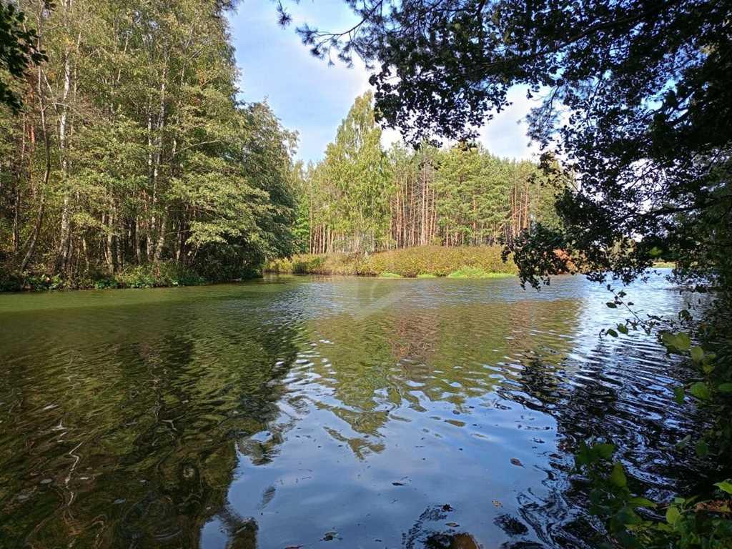 Здание, с возможностью перевода в жилой дом в д.Удранка