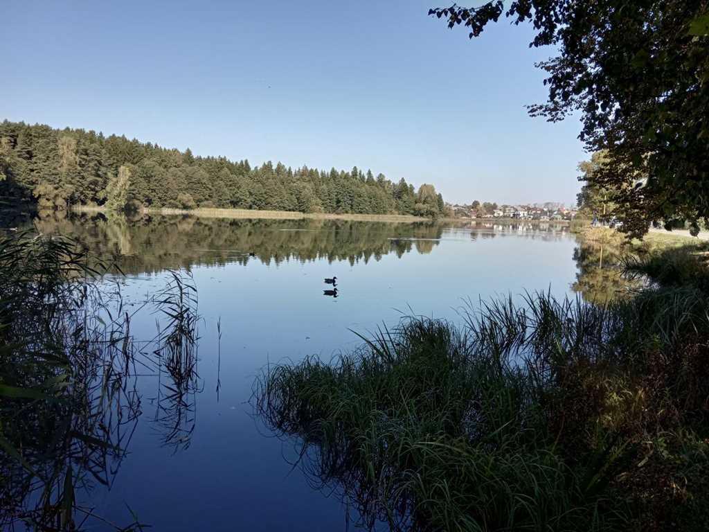 Полдома в Острошицком городке очень дешево!