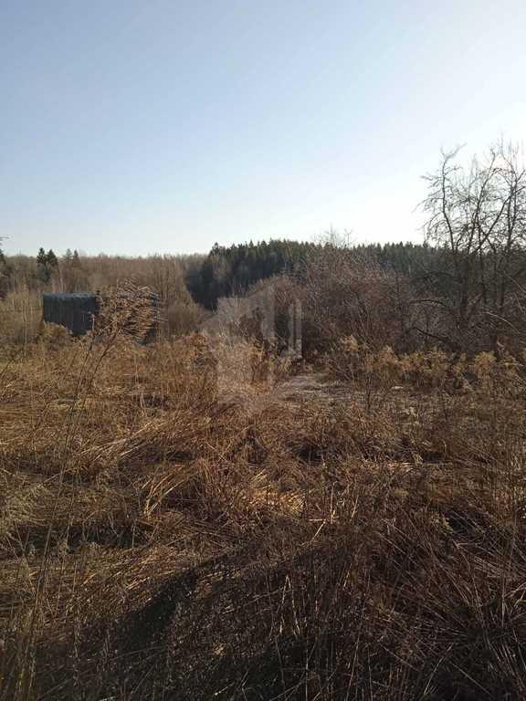 Продается участок 25 соток с домом в д. Литвинково, Логойский р-н, Лог