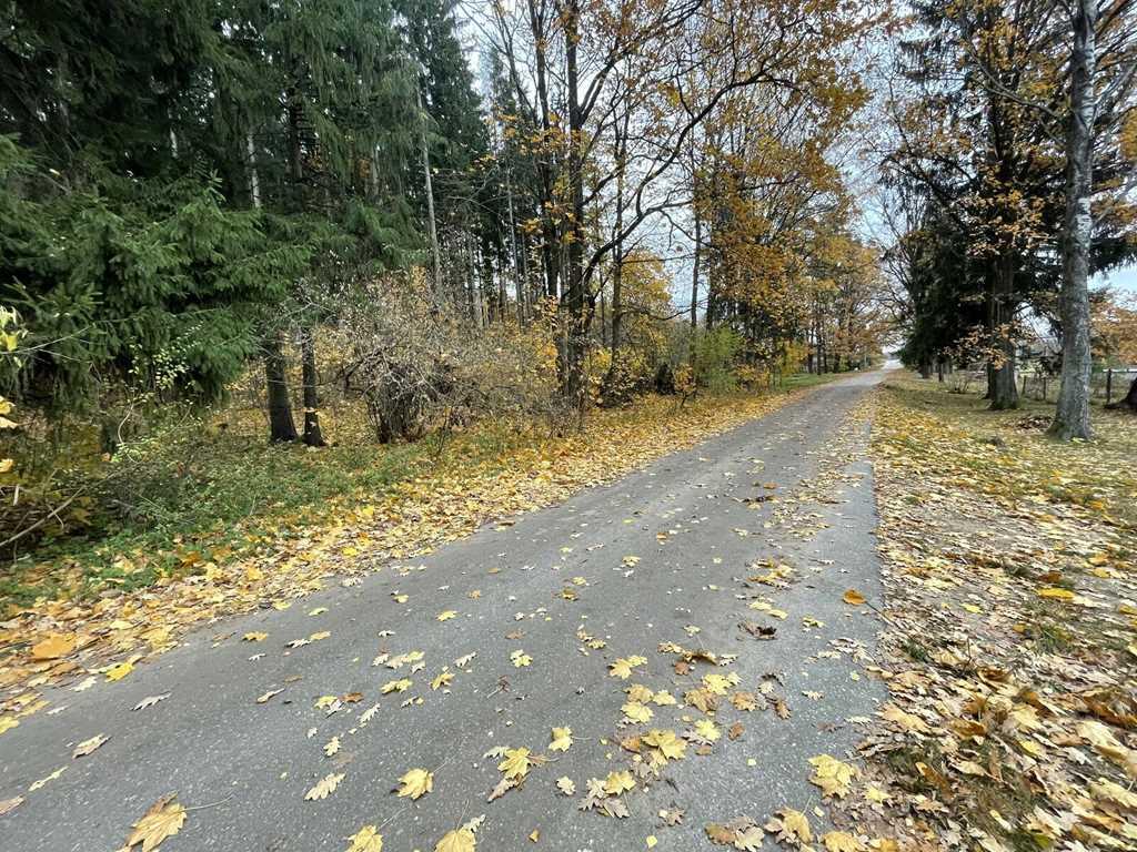 Жилой дом в пригороде Минска рядом с лесом