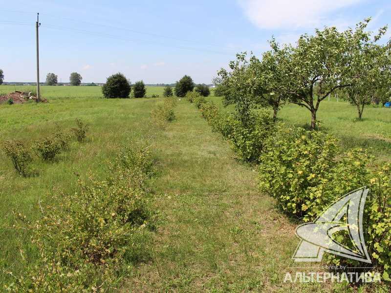 Продажа участка под ВЛПХ в Брестском районе, Жабинковское направление