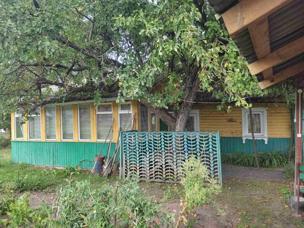 КРЕПКИЙ ДЕРЕВЯННЫЙ ДОМ В ОКРУЖЕНИИ ЛЕСА ВБЛИЗИ РЕЧКИ «НЕМАН»