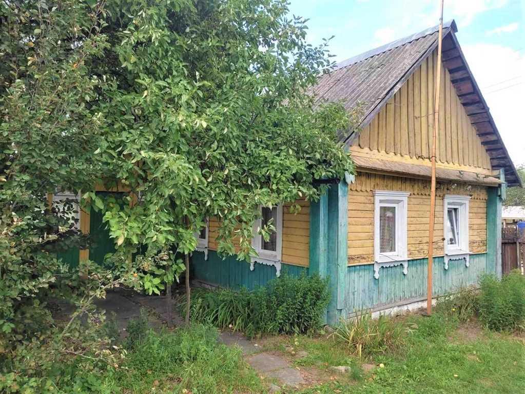 КРЕПКИЙ ДЕРЕВЯННЫЙ ДОМ В ОКРУЖЕНИИ ЛЕСА ВБЛИЗИ РЕЧКИ «НЕМАН»