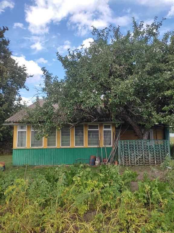 КРЕПКИЙ ДЕРЕВЯННЫЙ ДОМ В ОКРУЖЕНИИ ЛЕСА ВБЛИЗИ РЕЧКИ «НЕМАН»
