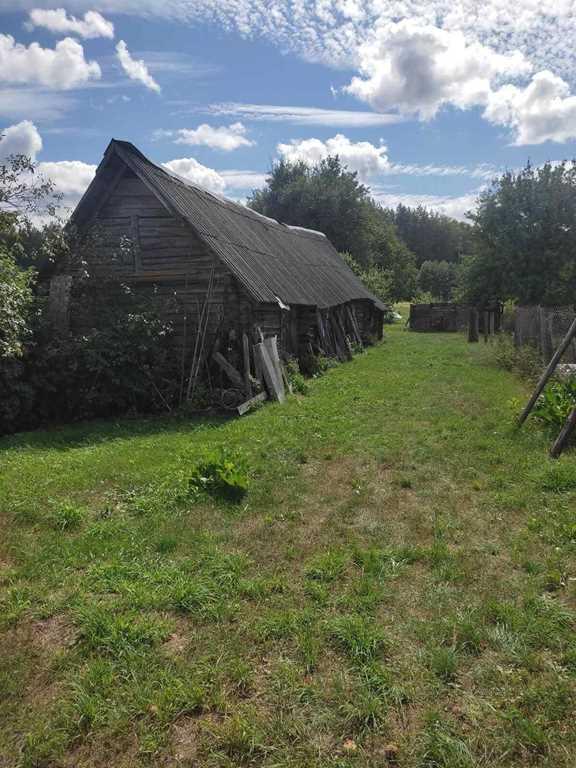 КРЕПКИЙ ДЕРЕВЯННЫЙ ДОМ В ОКРУЖЕНИИ ЛЕСА ВБЛИЗИ РЕЧКИ «НЕМАН»