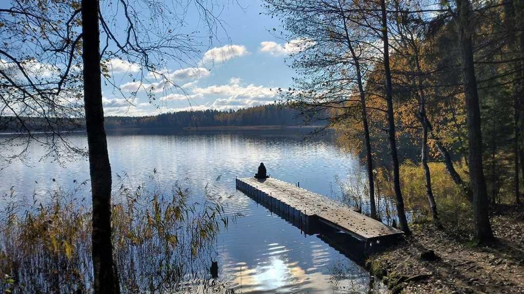 Прекрасная дача в с/т Ромашка Соломореченская, Минский район.