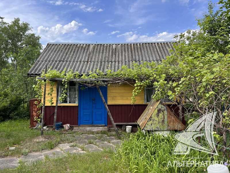 Продажа дома в деревне в Брестском районе, Домачевское направление