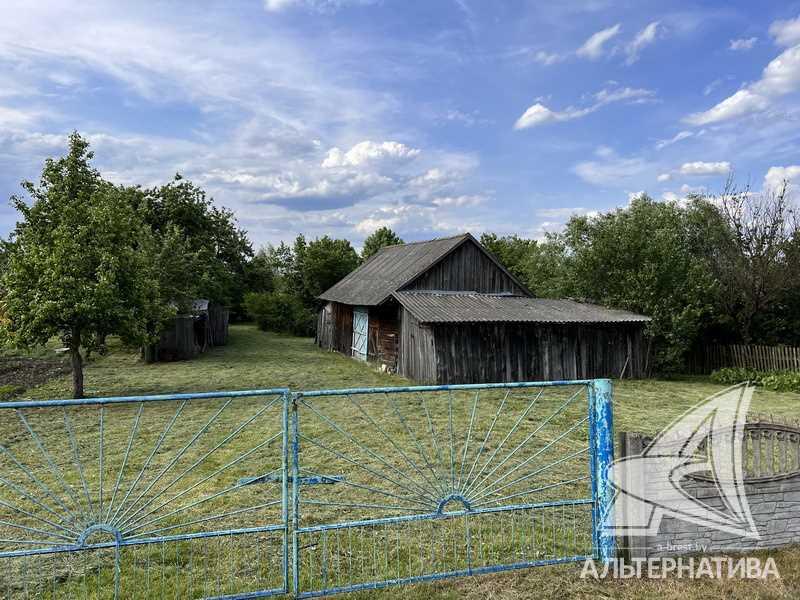 Продажа дома в деревне в Брестском районе, Домачевское направление