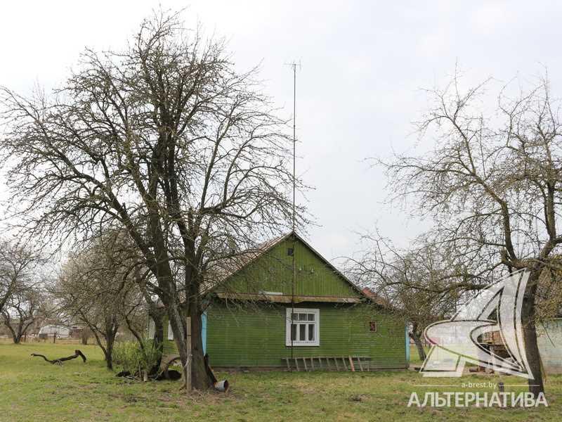 Продажа дома в деревне в Кобринском районе, Буховичский с/с