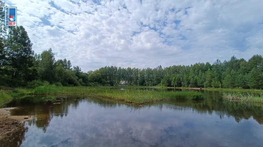 Продажа дома, д. Безодница, ул. Дачная