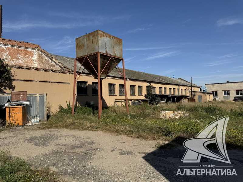 Производственно-складское помещение в Брестском районе в собственность