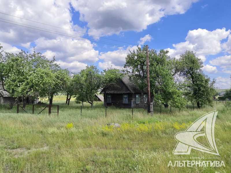 Продажа дома в деревне в Каменецком районе, Дмитровичский с/с