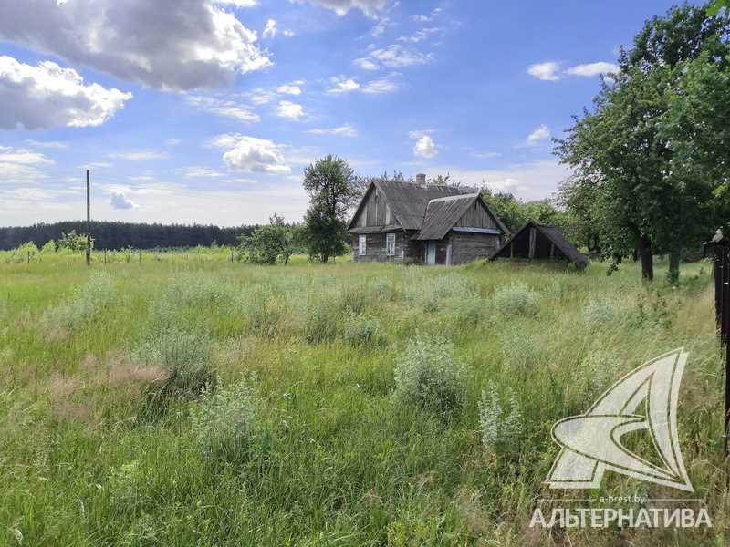 Продажа дома в деревне в Каменецком районе, Дмитровичский с/с