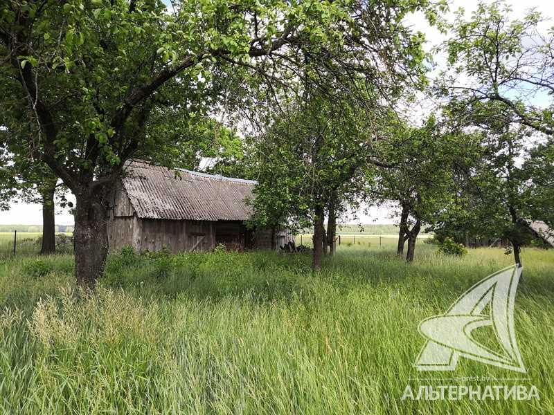 Продажа дома в деревне в Каменецком районе, Дмитровичский с/с