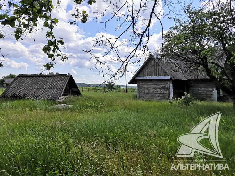 Продажа дома в деревне в Каменецком районе, Дмитровичский с/с